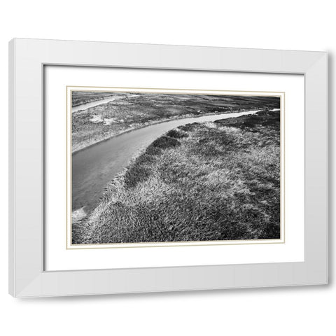 Monochrome Marsh White Modern Wood Framed Art Print with Double Matting by Malone, Will