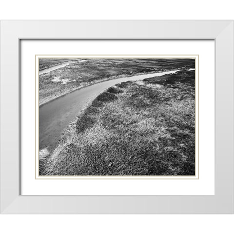 Monochrome Marsh White Modern Wood Framed Art Print with Double Matting by Malone, Will