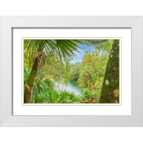 Blue Springs State Park 2 White Modern Wood Framed Art Print with Double Matting by Malone, Will