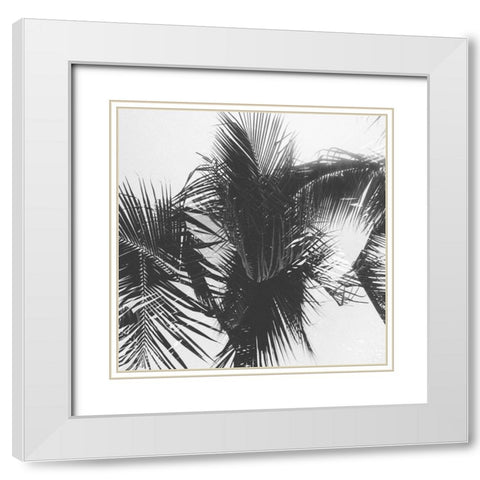 Palm 1 White Modern Wood Framed Art Print with Double Matting by Malone, Will