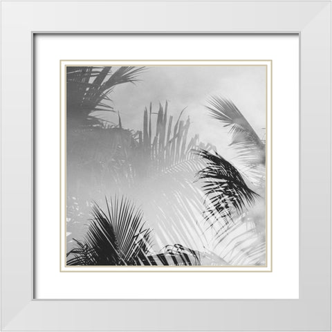 Palm 3 White Modern Wood Framed Art Print with Double Matting by Malone, Will