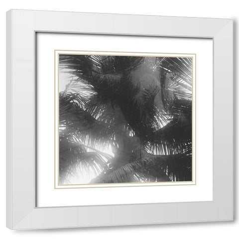 Palm 4 White Modern Wood Framed Art Print with Double Matting by Malone, Will