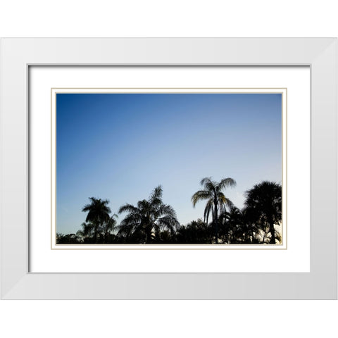 Palm Twilight White Modern Wood Framed Art Print with Double Matting by Malone, Will