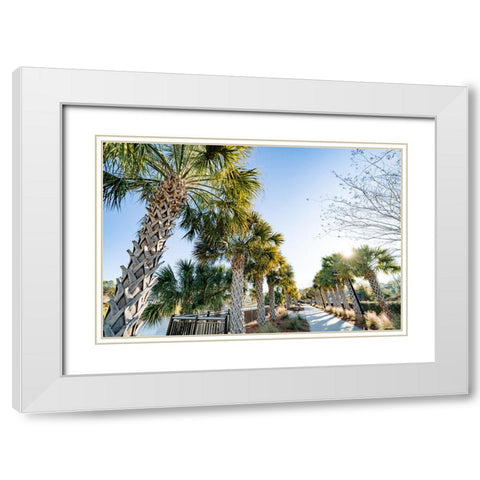 Palm Walk White Modern Wood Framed Art Print with Double Matting by Malone, Will