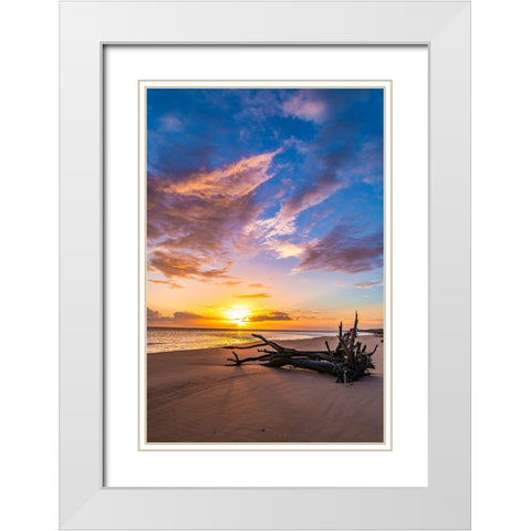 Rise White Modern Wood Framed Art Print with Double Matting by Malone, Will