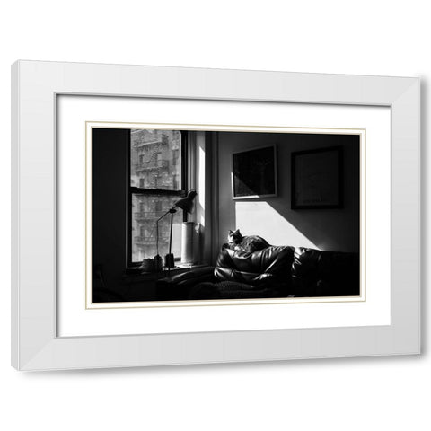 City Cat White Modern Wood Framed Art Print with Double Matting by Malone, Will