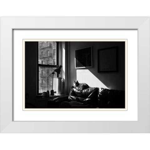 City Cat White Modern Wood Framed Art Print with Double Matting by Malone, Will
