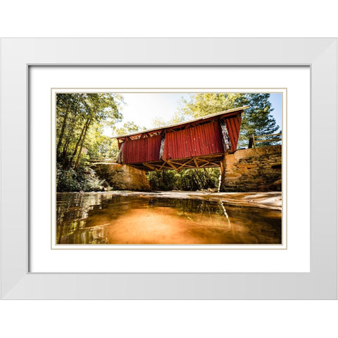 Campbellâ€™s Covered 1 White Modern Wood Framed Art Print with Double Matting by Malone, Will