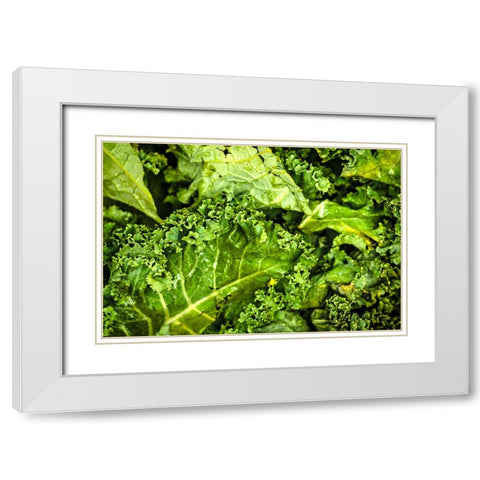 Kale Up Close White Modern Wood Framed Art Print with Double Matting by Malone, Will