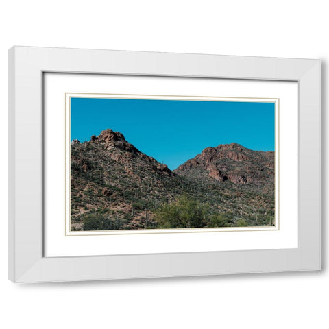 Cactus Mountain 2 White Modern Wood Framed Art Print with Double Matting by Malone, Will