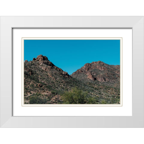 Cactus Mountain 2 White Modern Wood Framed Art Print with Double Matting by Malone, Will