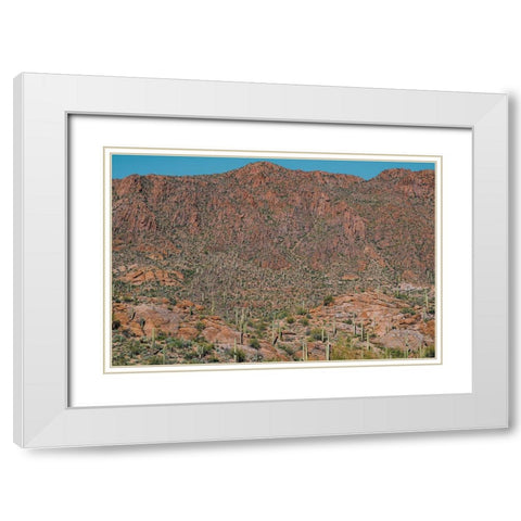 Cactus Mountain 3 White Modern Wood Framed Art Print with Double Matting by Malone, Will
