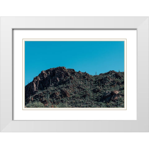 Cactus Mountain 5 White Modern Wood Framed Art Print with Double Matting by Malone, Will