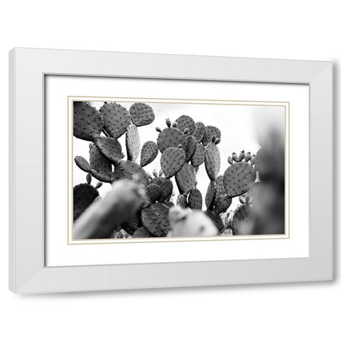 Carolina Cactus White Modern Wood Framed Art Print with Double Matting by Malone, Will