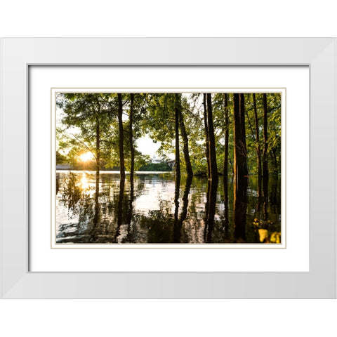 Coosa Gold White Modern Wood Framed Art Print with Double Matting by Malone, Will