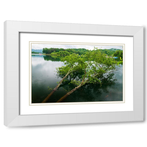 Fallen White Modern Wood Framed Art Print with Double Matting by Malone, Will