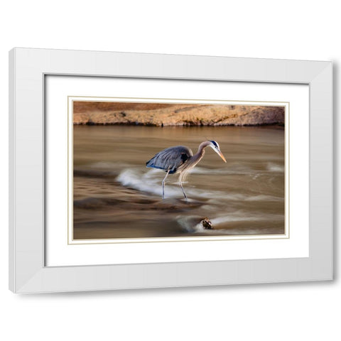 The Bird White Modern Wood Framed Art Print with Double Matting by Malone, Will