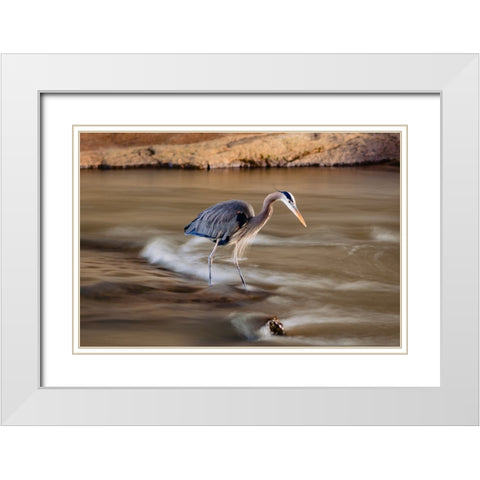 The Bird White Modern Wood Framed Art Print with Double Matting by Malone, Will