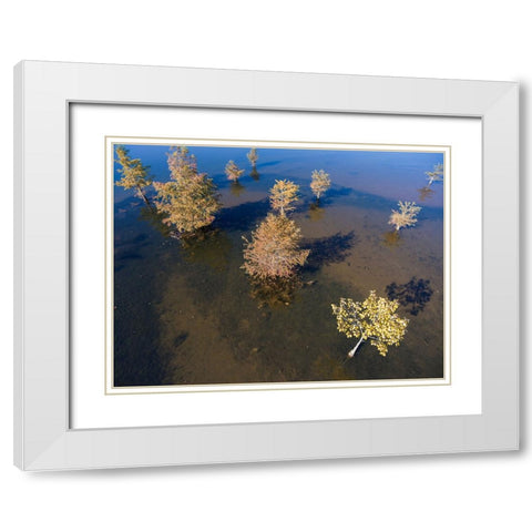 Fall Lake 2 White Modern Wood Framed Art Print with Double Matting by Malone, Will