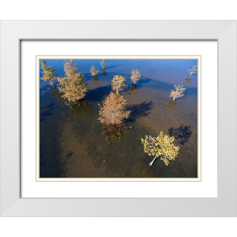 Fall Lake 2 White Modern Wood Framed Art Print with Double Matting by Malone, Will