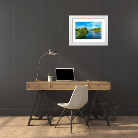 Blooming on the Coosa 3 White Modern Wood Framed Art Print with Double Matting by Malone, Will