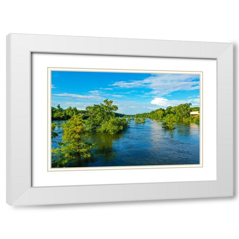 Blooming on the Coosa 3 White Modern Wood Framed Art Print with Double Matting by Malone, Will