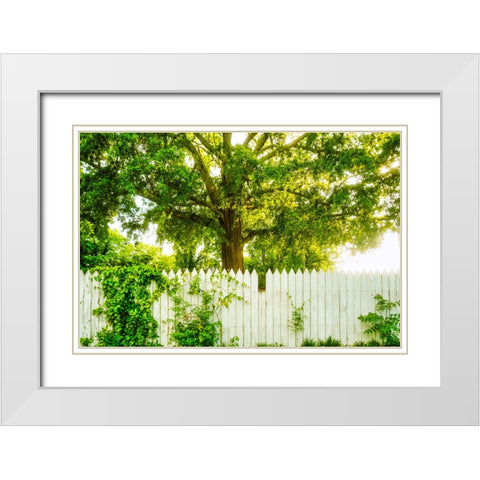 White Pickett Fence White Modern Wood Framed Art Print with Double Matting by Malone, Will