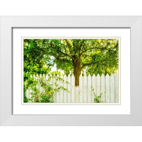 White Pickett Fence 2 White Modern Wood Framed Art Print with Double Matting by Malone, Will