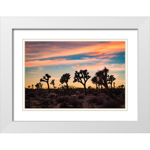 Audience for a Sunset White Modern Wood Framed Art Print with Double Matting by Malone, Will