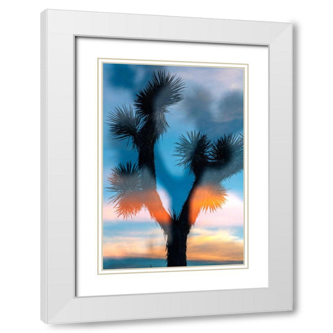 Desert Sky 3 White Modern Wood Framed Art Print with Double Matting by Malone, Will