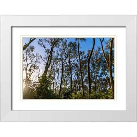 Awake White Modern Wood Framed Art Print with Double Matting by Malone, Will