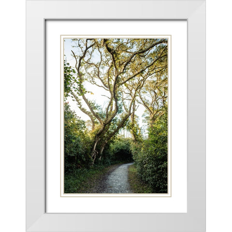 Pathway White Modern Wood Framed Art Print with Double Matting by Malone, Will
