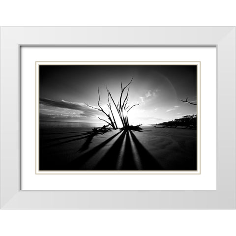 Shadow BW White Modern Wood Framed Art Print with Double Matting by Malone, Will