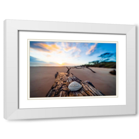She Sells Seashells White Modern Wood Framed Art Print with Double Matting by Malone, Will