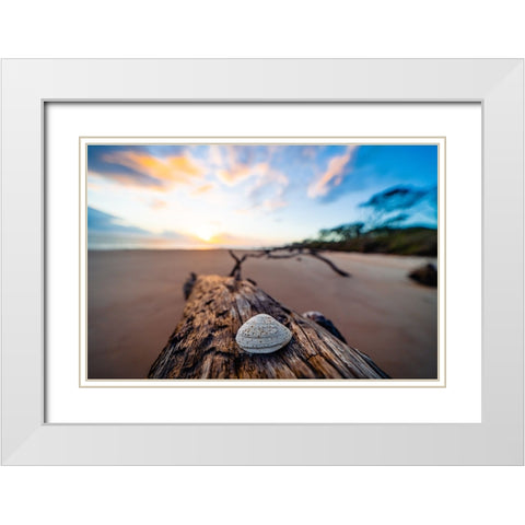 She Sells Seashells White Modern Wood Framed Art Print with Double Matting by Malone, Will