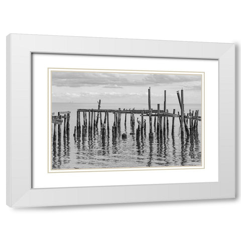 Jungle Gym White Modern Wood Framed Art Print with Double Matting by Malone, Will