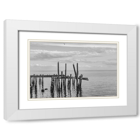 Jungle Gym 2 White Modern Wood Framed Art Print with Double Matting by Malone, Will