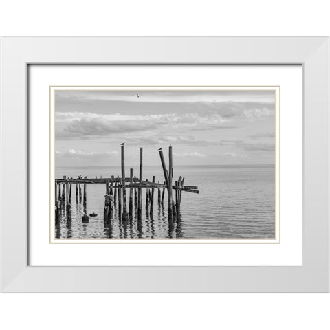 Jungle Gym 2 White Modern Wood Framed Art Print with Double Matting by Malone, Will