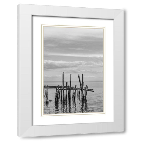 Jungle Gym Vertical White Modern Wood Framed Art Print with Double Matting by Malone, Will