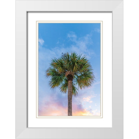 DeLand Sunset White Modern Wood Framed Art Print with Double Matting by Malone, Will