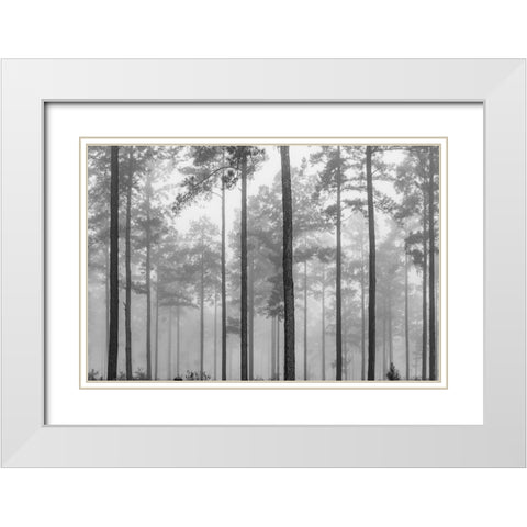 Fog White Modern Wood Framed Art Print with Double Matting by Malone, Will