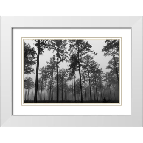 Fog 2 White Modern Wood Framed Art Print with Double Matting by Malone, Will
