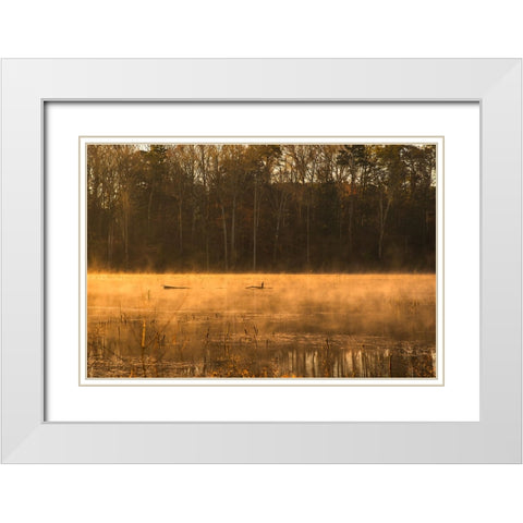 Tired Creek Golden Mist White Modern Wood Framed Art Print with Double Matting by Malone, Will