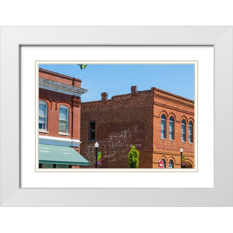 Spearmint White Modern Wood Framed Art Print with Double Matting by Malone, Will
