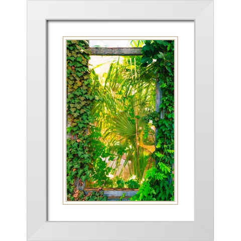 The Window White Modern Wood Framed Art Print with Double Matting by Malone, Will