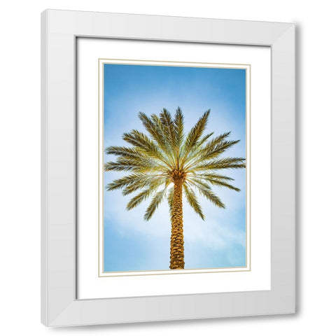 Glowing Palms White Modern Wood Framed Art Print with Double Matting by Malone, Will