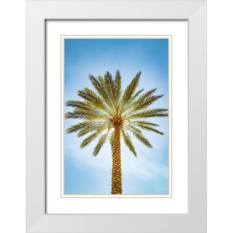 Glowing Palms White Modern Wood Framed Art Print with Double Matting by Malone, Will