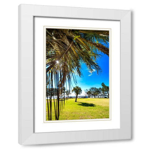 Palm Park White Modern Wood Framed Art Print with Double Matting by Malone, Will