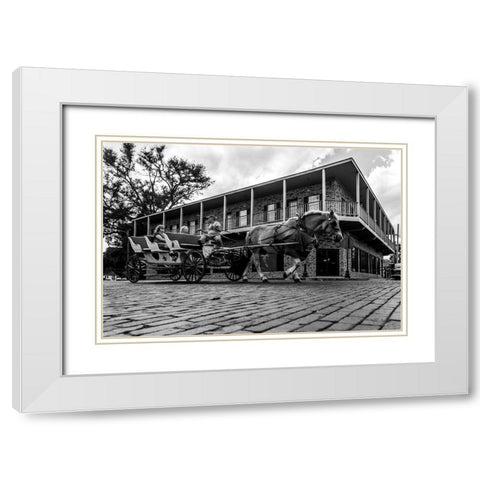 Horse Tour White Modern Wood Framed Art Print with Double Matting by Malone, Will
