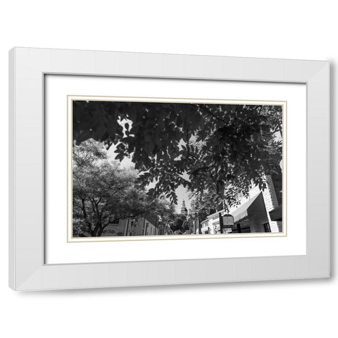 Maryland Capital White Modern Wood Framed Art Print with Double Matting by Malone, Will